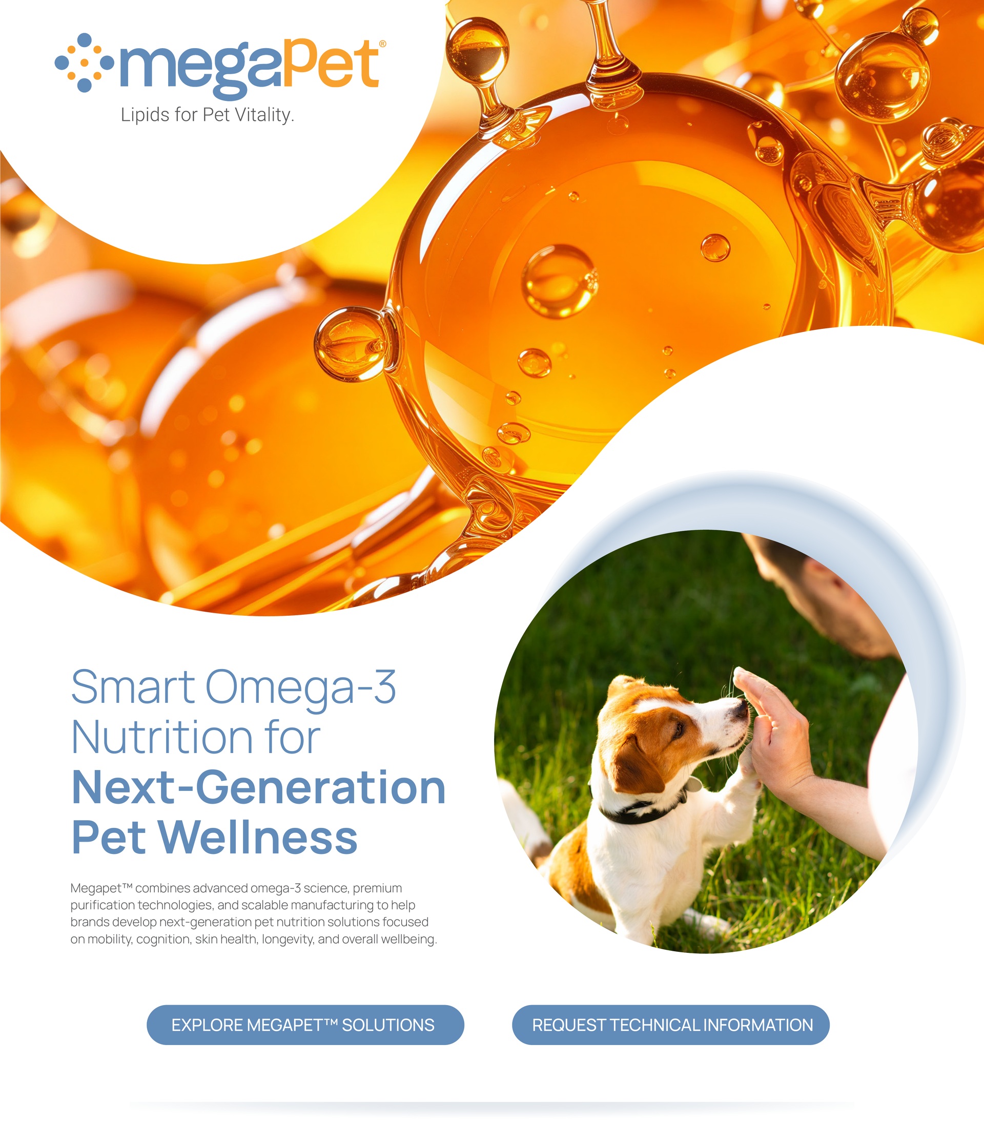 Megapet landing section 1